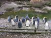 Photo from Zurich Zoo (Zoological Garden) Switzerland